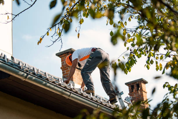 Best Rubber Roofing (EPDM, TPO)  in Bristol, IN