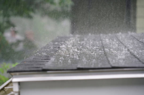Best Skylight Installation and Repair  in Bristol, IN