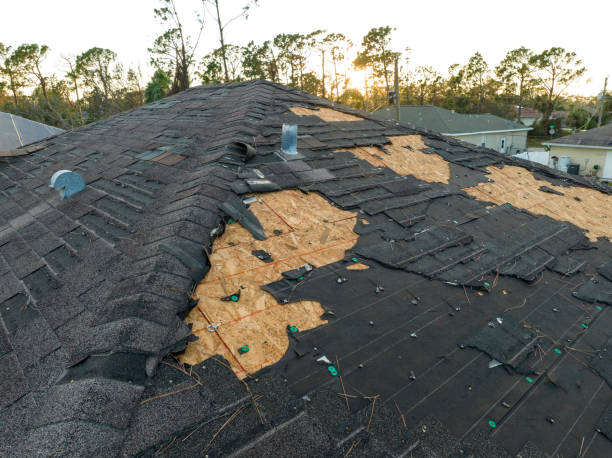 Best Sheet Metal Roofing  in Bristol, IN