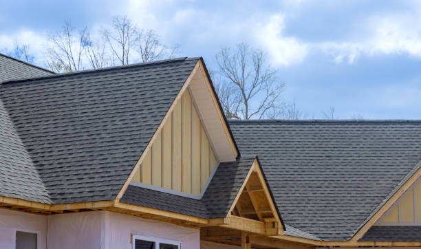 Best Roof Maintenance and Cleaning  in Bristol, IN